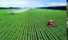 陕西农业经济总量快速增长 设施农业规模居西北首位