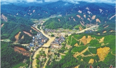 北江防汛江湾遭遇战：分秒必争 只为那声“平安”