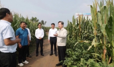 楼阳生到许昌市鄢陵等县区调研