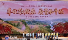 丰收敬粮农，乙巳年茅台红缨子高粱丰收季画上圆满句号