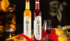 天俪生物奏响刺梨酒”双重奏“ ——多举措拓展刺梨酒市场
