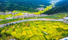 贵州天柱县：东西部协作显成效，共绘区域发展新蓝图