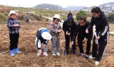 七团开展饲草特种栽培模式技术培训 助力农民增产增收