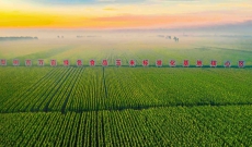 稻花香里说丰年｜梨树：黑土地上绘“丰”景