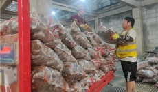 保障“双节”期间上海市民的“菜篮子”“果盘子” 29万吨农产品供应总量已经安排上了