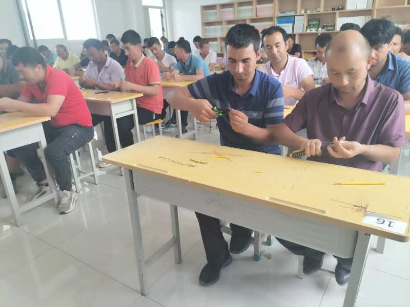 图为：8月20日，来自全县13个乡（镇）120名外出就业劳动力在温宿县技工学校参加为期25天的低压电工职业技能培训班。（江凯摄）