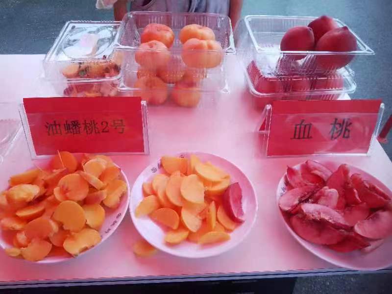 微信图片_20240627155304
