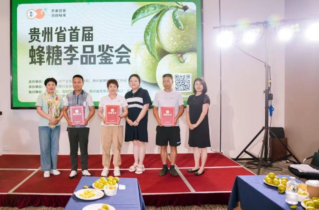 微信图片_20240714232023