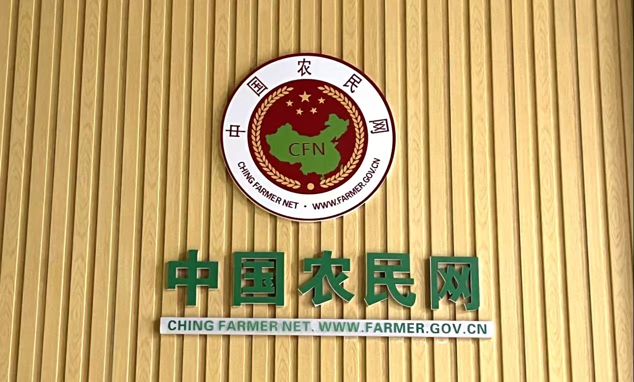 微信图片_20241108184331