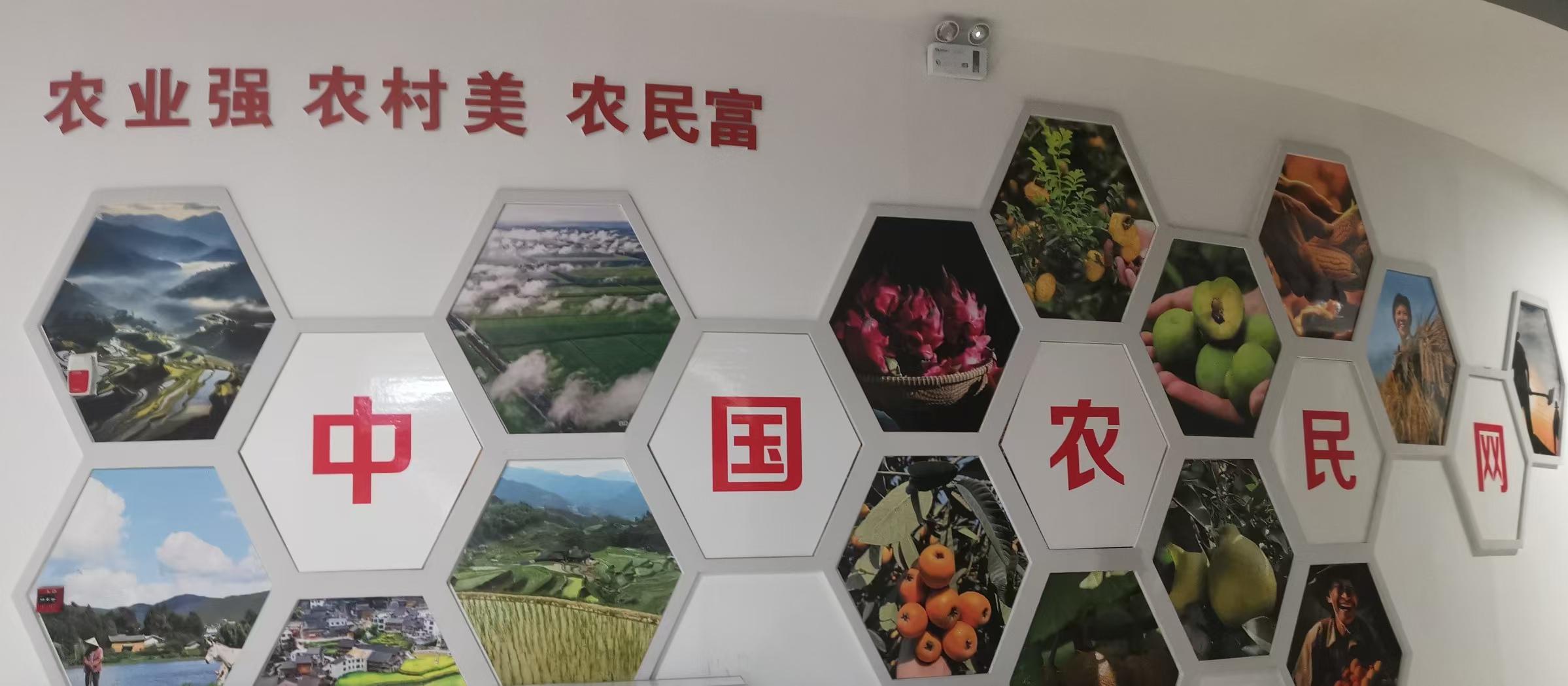 微信图片_20241108183322