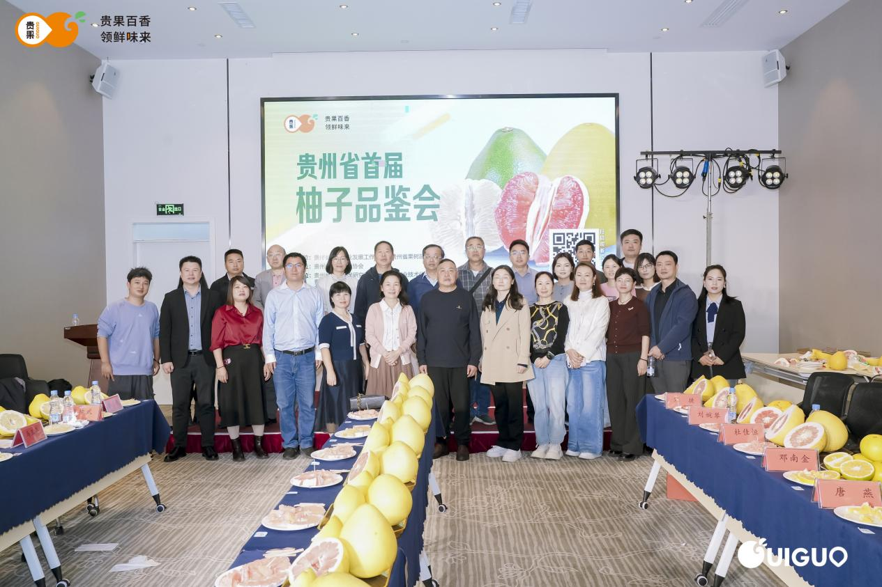图片10