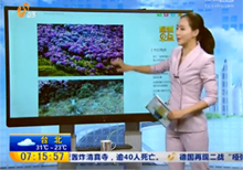 四川“最美杜鹃花海”遭毒手 有人折花枝点燃烧烤