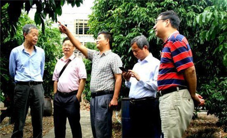 农业专家聚海口研讨羊山荔枝种植系统农业文化遗产