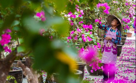 台州仙居：花卉产业走出“致富路”