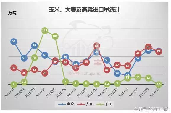 玉米进口量暴跌！临储拍卖成交火爆！下半年玉米价格谁说了算？