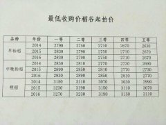 水稻去库存大幕拉开，市场观望氛围浓