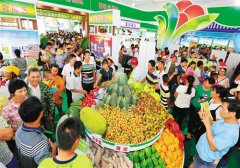 海南：农博会助推品牌农业建设