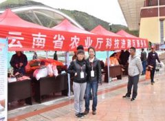 云南省肉羊产业技术体系参加科技进藏、科技“三下乡”活动