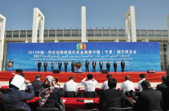 中国（宁夏）园艺博览会在银川园艺博览园开幕
