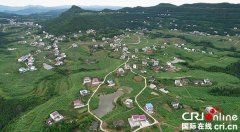 广元苍溪现代化农业园区发展 带领农民走上致富路