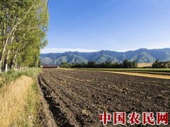 黑龙江制定黑土地保护专项行动方案
