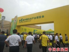 打造农业区域公共品牌 中国玉米之乡亮出国际名片