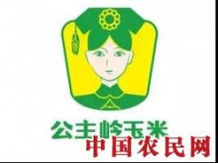 公主驾到：第六届中国公主岭玉米产业博览会亮点解密