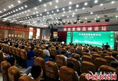 湖南黄精高峰论坛在新化举行 全力打造区域公共品牌
