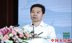 巴彦淖尔：着力推进品牌战略 打造高端生态农业