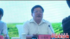 “聊&#183;胜一筹!”聊城品牌农产品济南产销对接行动惊艳泉城