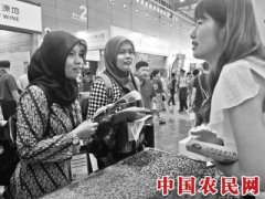 中国种业硅谷如何“链”成？