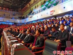 黑龙江省发布2018黑龙江省品牌价值评价信息