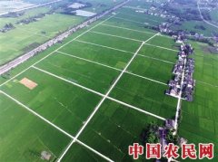 “味在眉山”千亿产业助推彭山农产品走向全国