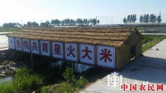 桦川“星火大米”品牌提升之路