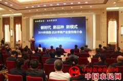 相约新时代 陕西白水苹果再进人民大会堂