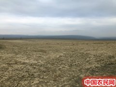 新疆臻冠达（鉴）-千亩草原被非法占用 原始地貌破坏严重