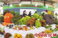 “花样漳州”，农业玩出新“花样”