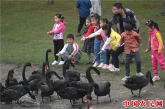 浙江湖州：多彩宜居的万人农民社区
