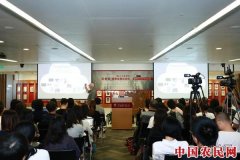 OCAT年度讲座与展览在北京OCAT研究中心开幕