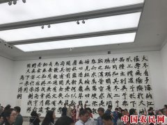 “空舟载雪”展览浙江美术馆开幕 池长庆作品书画同源