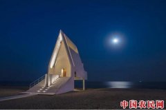 首届“独角兽艺博会”将亮相阿那亚 108个艺术家个展同时开幕