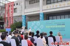 2018Art烟台?首届中英当代艺术双年展烟台美术博物馆启幕