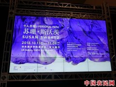 苏珊·斯沃茨中国首展 跨越中西的抽象自然