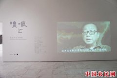 “渍痕”张宝玮画展启幕 “大匠构屋”呈现心迹的观照