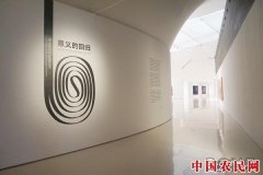 以“意义的回归”与“师严道尊”的展览 寻找绘画的新意义