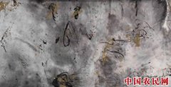 王铁华个展上海?空间展出 浸润传统后以水墨表现自我