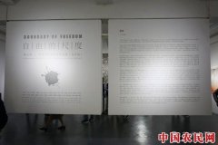 “自由的尺度·中国当代水墨巡展（北京站）” 抱守尺度 始见自由