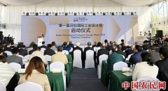 首届河北国际工业设计周开幕 全球顶尖设计力共想未来城市