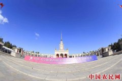 
        中国时尚4x30：南张北王东吴西梁艺术大展亮相
