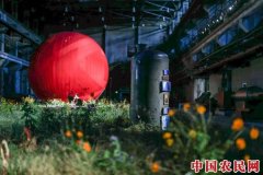 艾敬回家，“我的母亲和我的家乡”展览沈阳举办